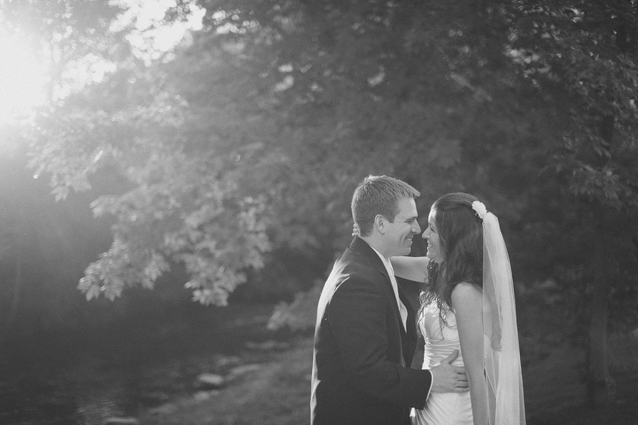 Royal Park Hotel Rochester Michigan Wedding Photography Photographer
