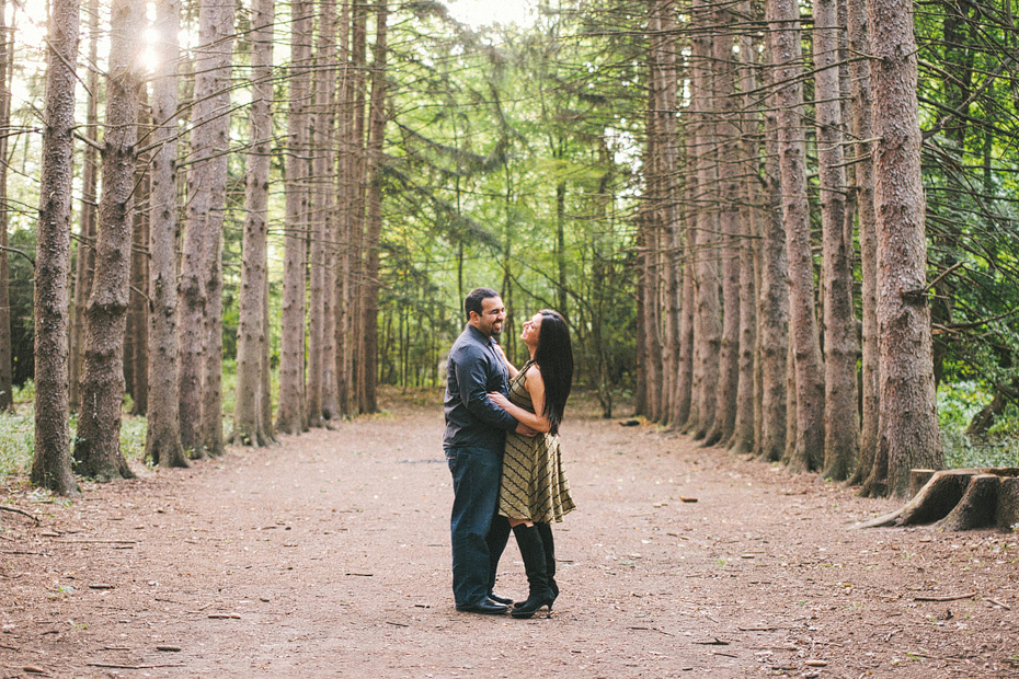 Michigan Wedding Photographer Artful Engagement Session Stony Creek