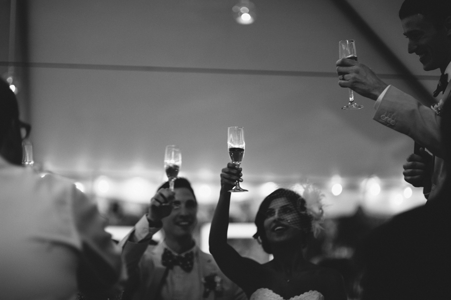 Brothers of the bride and groom toast the couple in a tent at a backyard wedding reception in Kalamazoo Michigan, by Ann Arbor Wedding Photographer Heather Jowett.