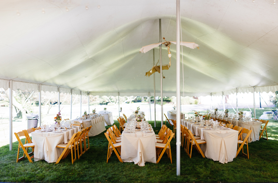View of the tent at a backyard wedding reception by Ann Arbor Michigan wedding photographer, Heather Jowett.