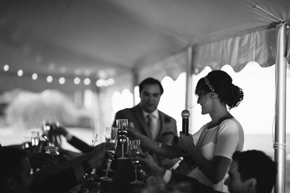 Toasts at a backyard wedding reception by Ann Arbor Michigan wedding photographer, Heather Jowett.