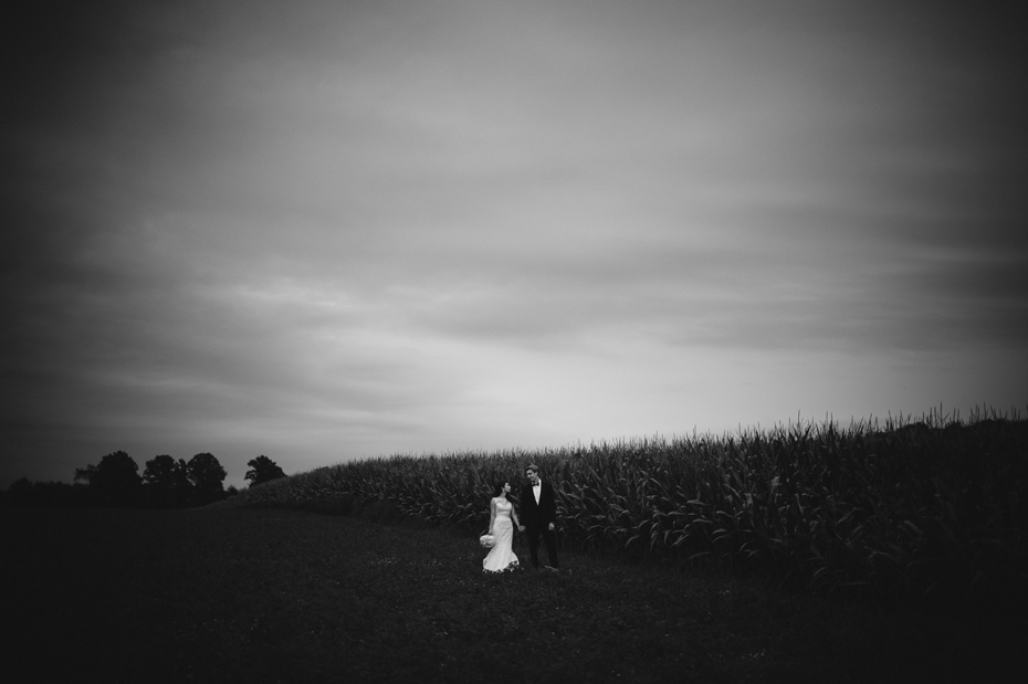 Day after wedding portraits, by Ann Arbor wedding photographer Heather Jowett.