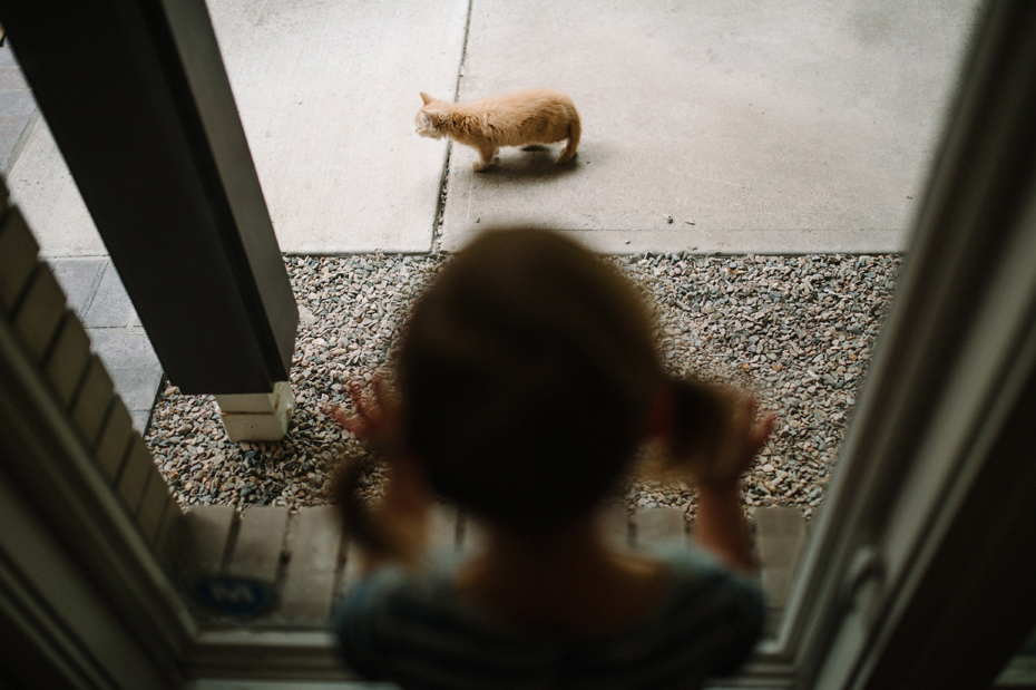 A two year old girl spies on her kitten during a documentary family portrait session in Ferndale photographed by Ann Arbor Wedding Photographer, Heather Jowett.
