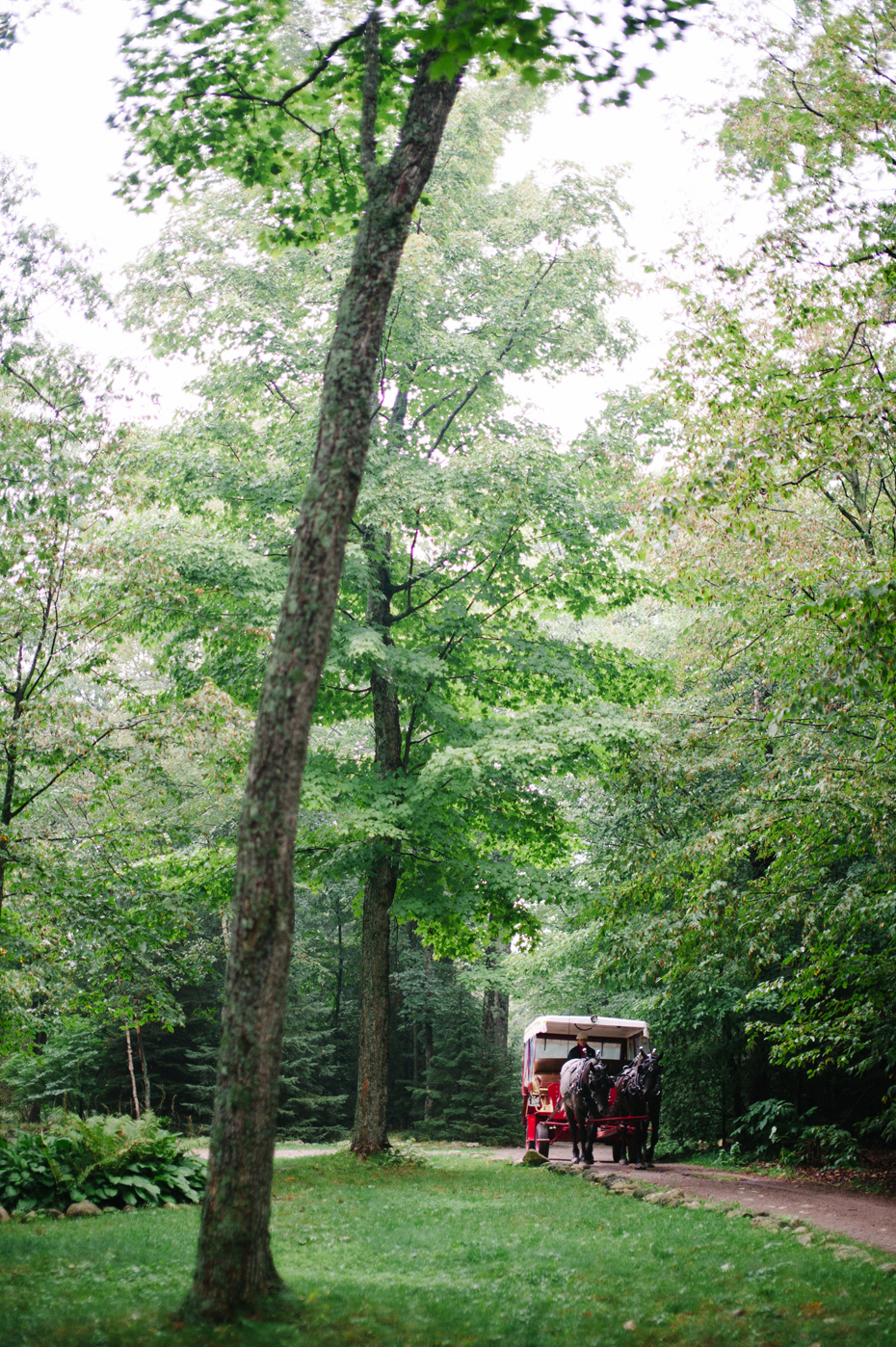 A horse carriage on a dirt road at the Inn At Stonecliffe on Mackinac Island by Michigan Wedding Photographer Heather Jowett.