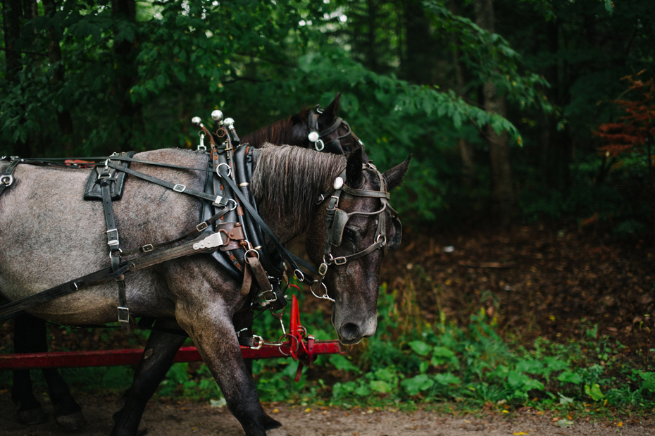 A horse carriage on a dirt road at the Inn At Stonecliffe on Mackinac Island by Michigan Wedding Photographer Heather Jowett.