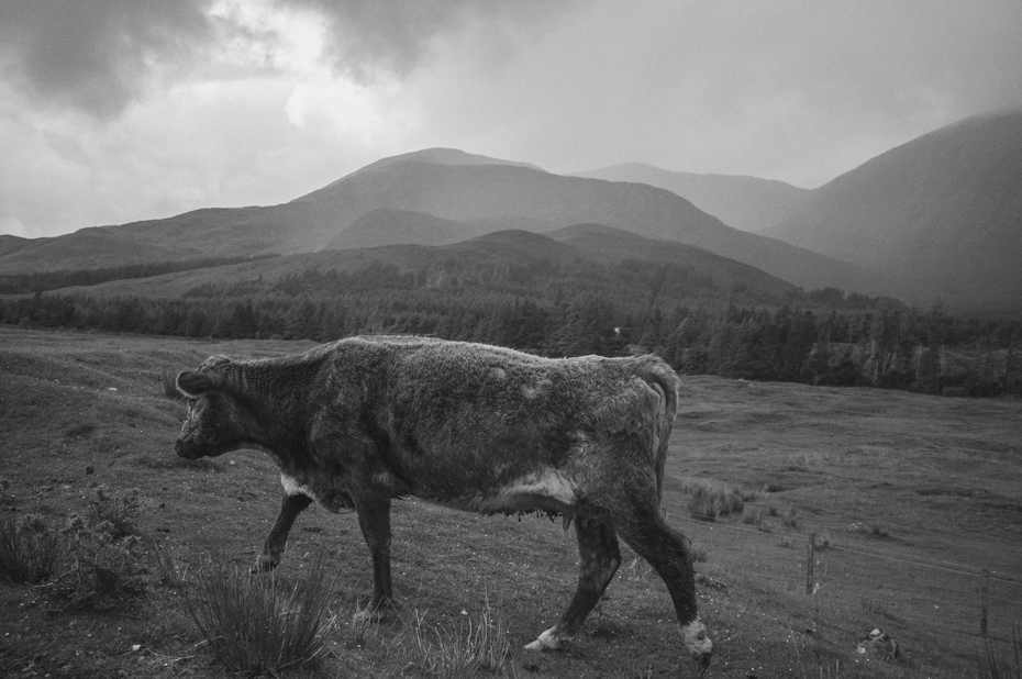 Isle of Skye Scotland Wedding Photographer