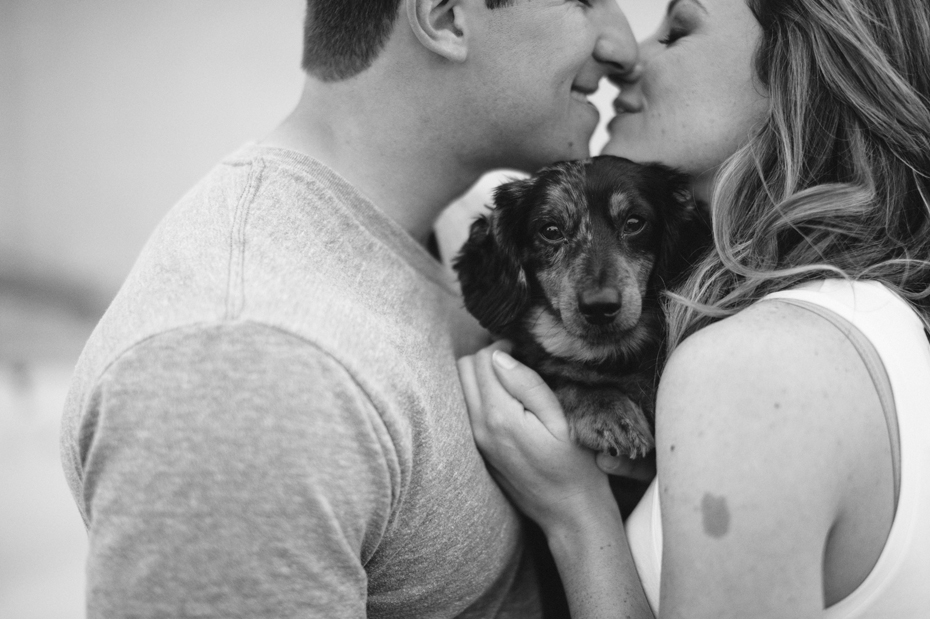 A couple snuggles with their dog during their engagement session by Ann Arbor Michigan wedding photographer Heather Jowett.