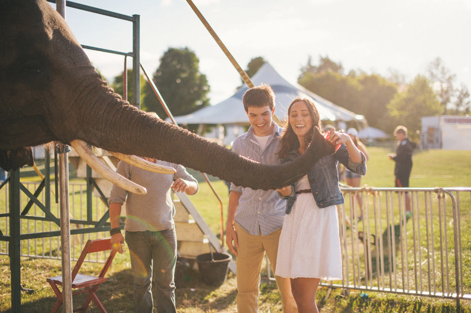 A couple feeds an elephant during their 4h fair engagement session by Michigan wedding photographer Heather Jowett.
