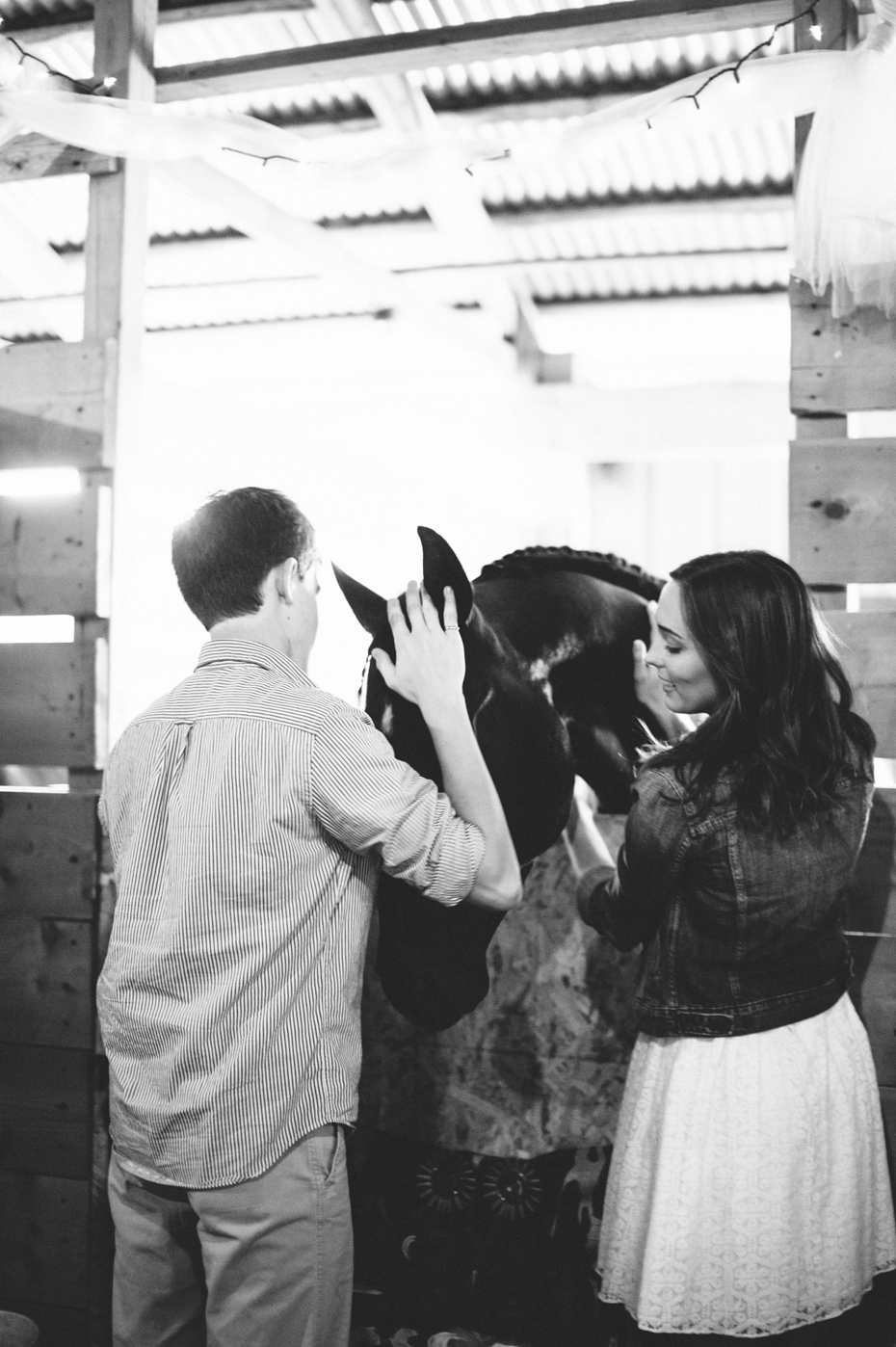 A couple meets a horse during their engagement session at the Saint Clair County 4h fair by photographer Heather Jowett.