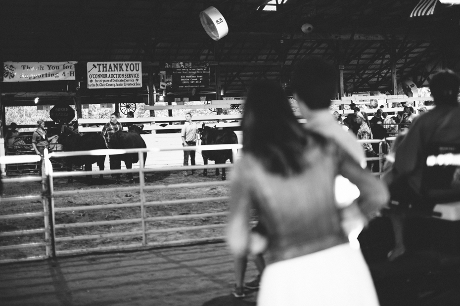 A couple watches the bull judging during their engagement session at the Saint Clair County 4h fair by photographer Heather Jowett.