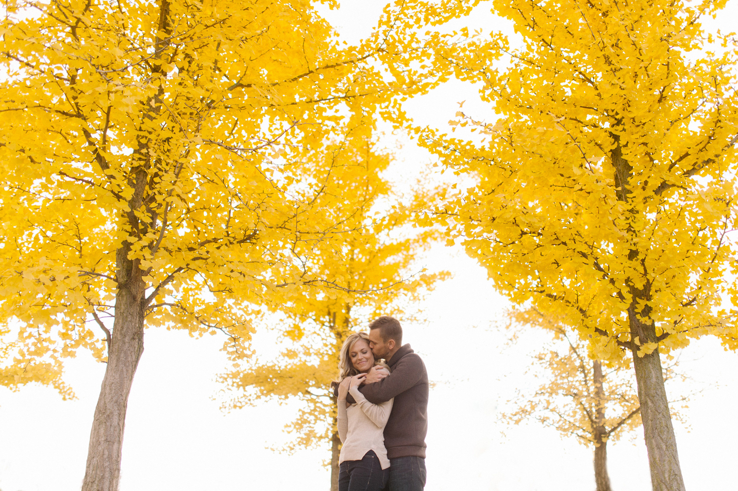Stunning fall foliage at a couples session at the Matthei Botanical Gardens in Ann Arbor by wedding photographer Heather Jowett.
