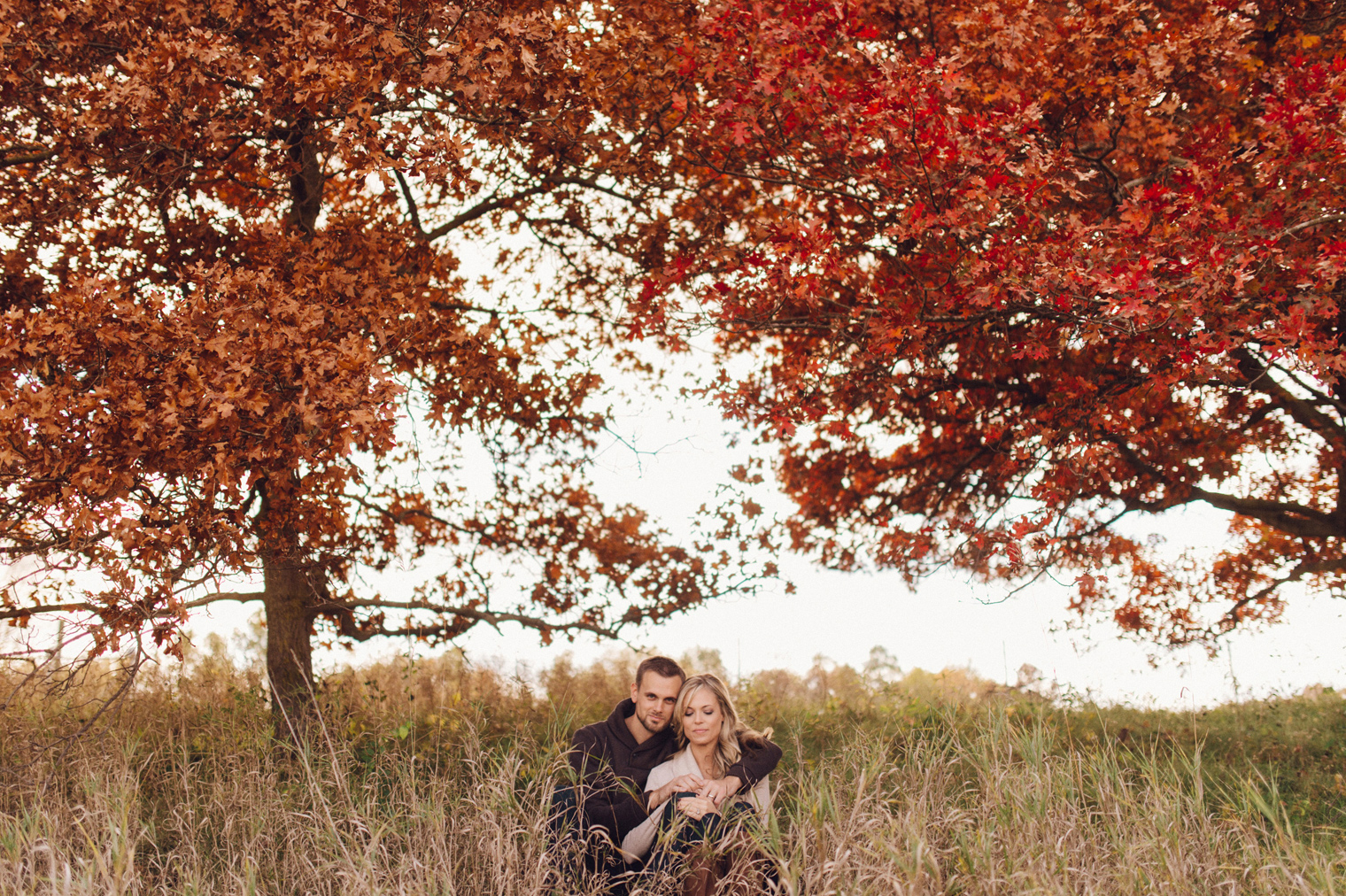 Bright red fall foliage at a fall couples photographyn at the Ann Arbor Botanical Gardens by wedding photographer Heather Jowett.