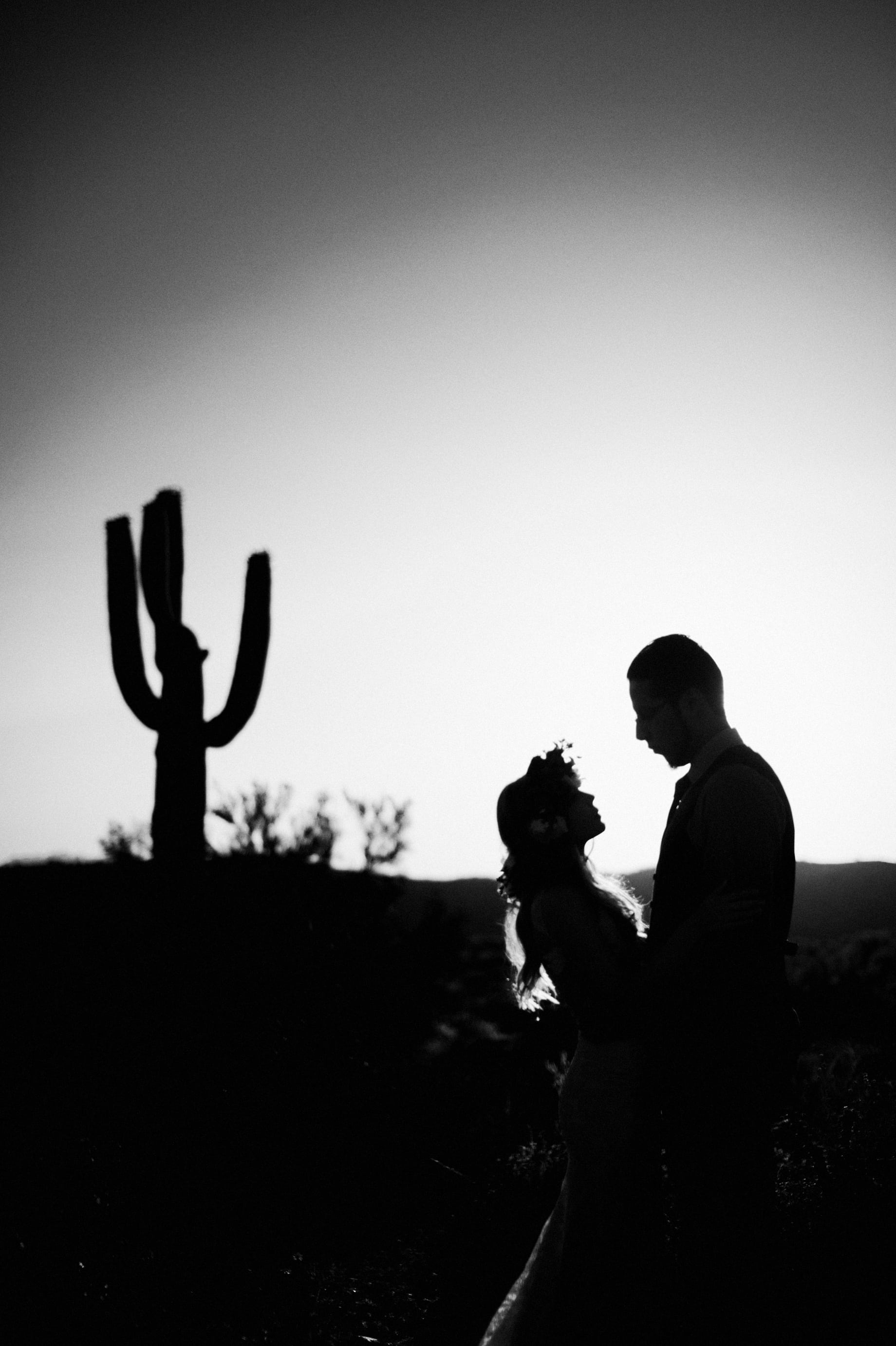 cactus wedding portrait