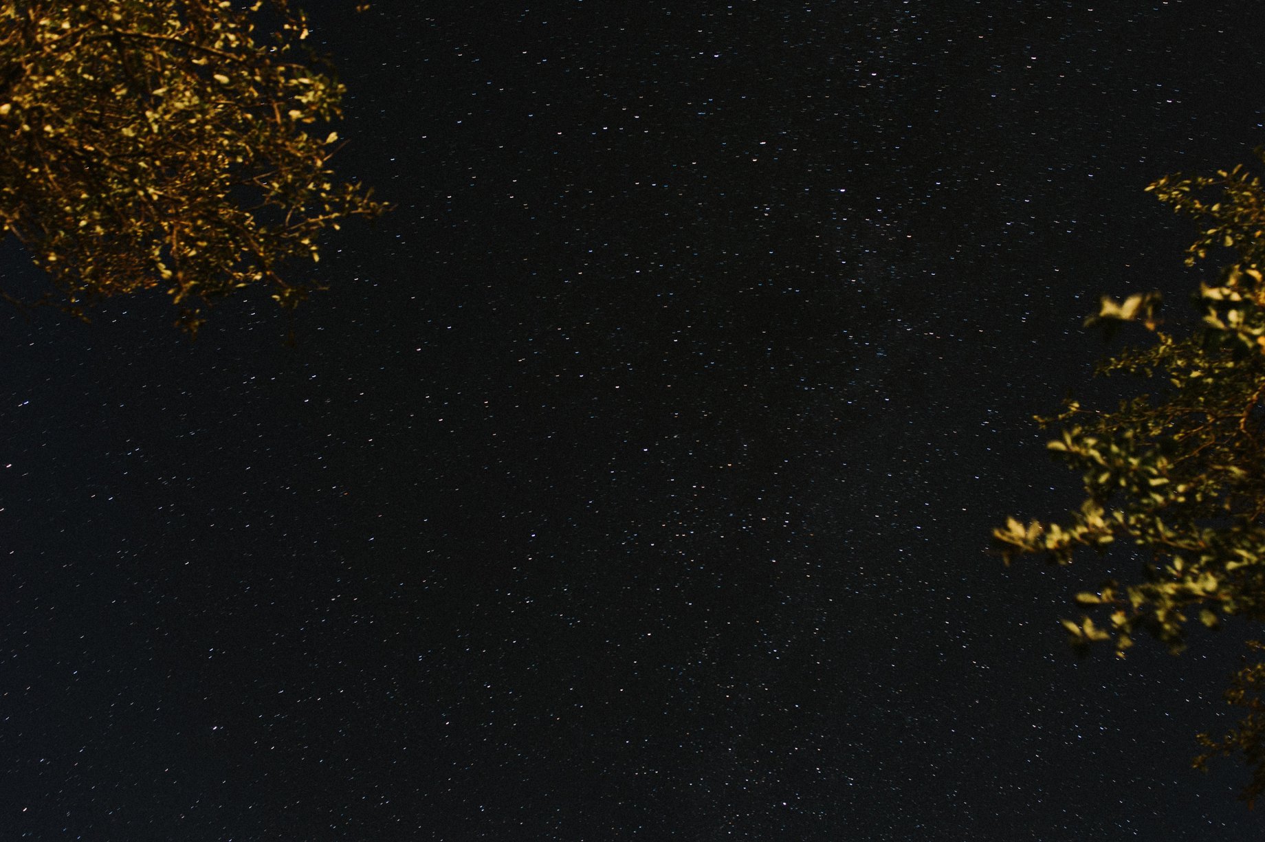 starry sky in the catskills