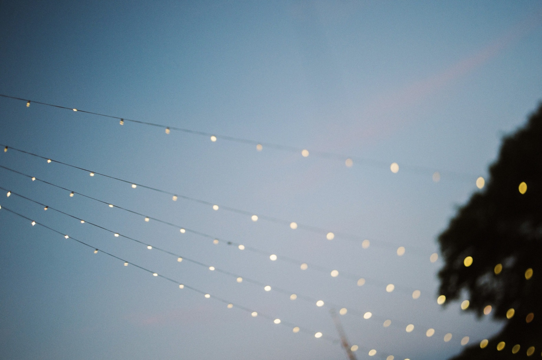 patio lights at a wedding