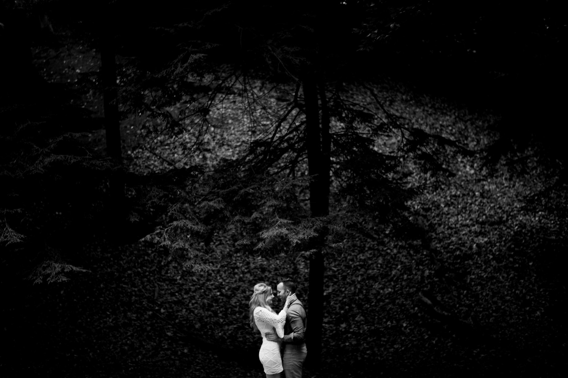 michigan wedding photographer