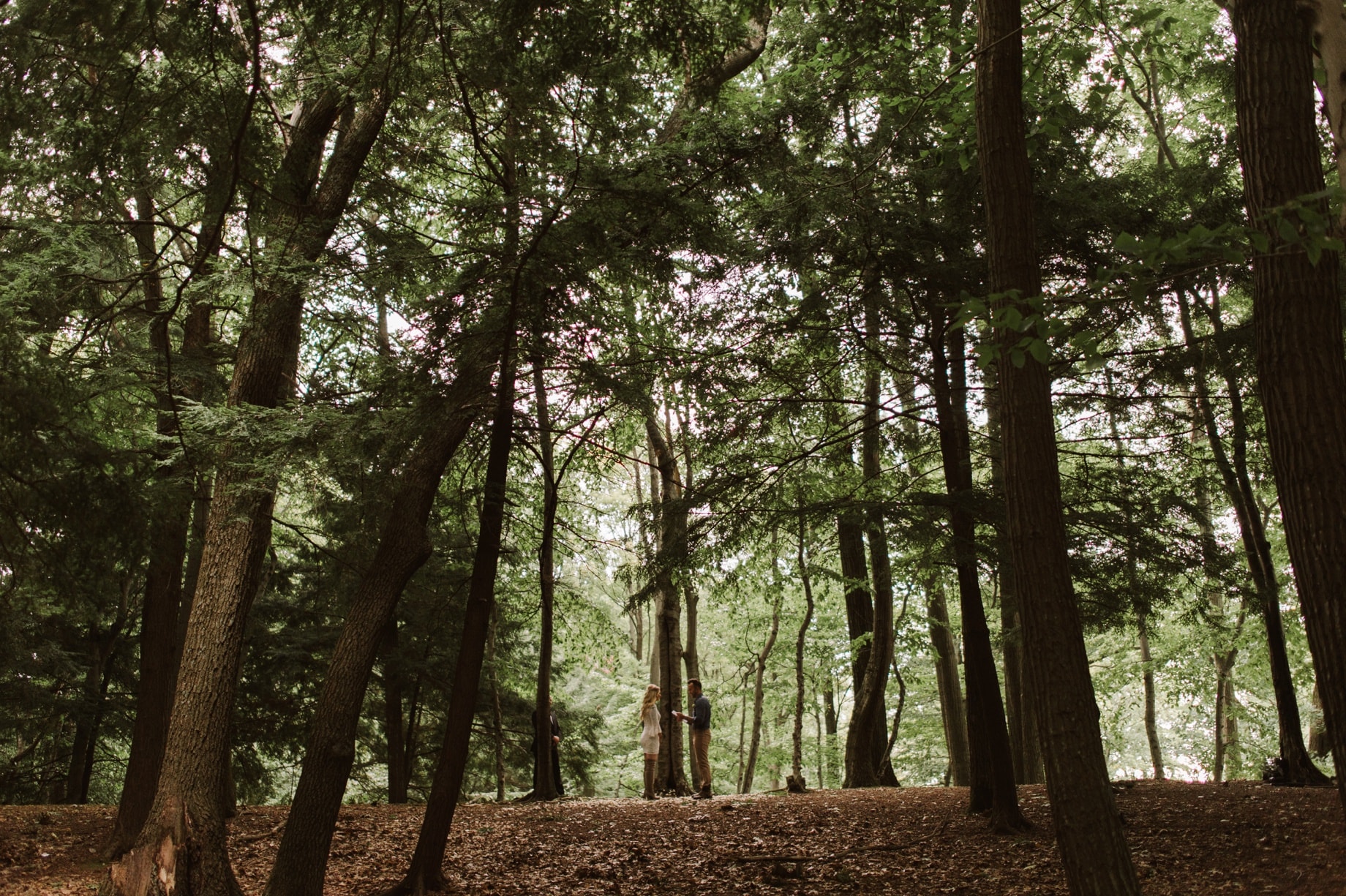 michigan elopement photography