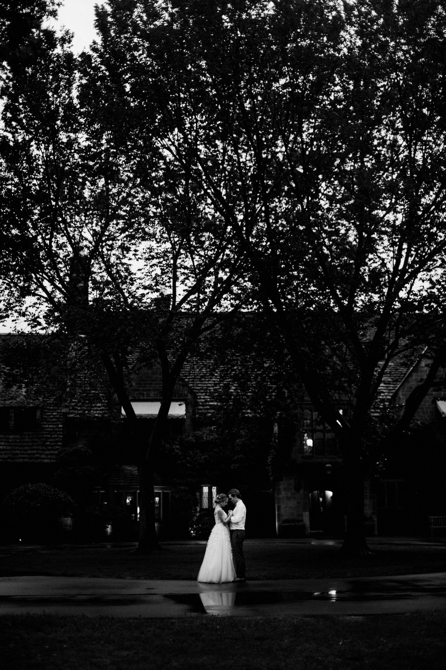 michigan wedding photographer