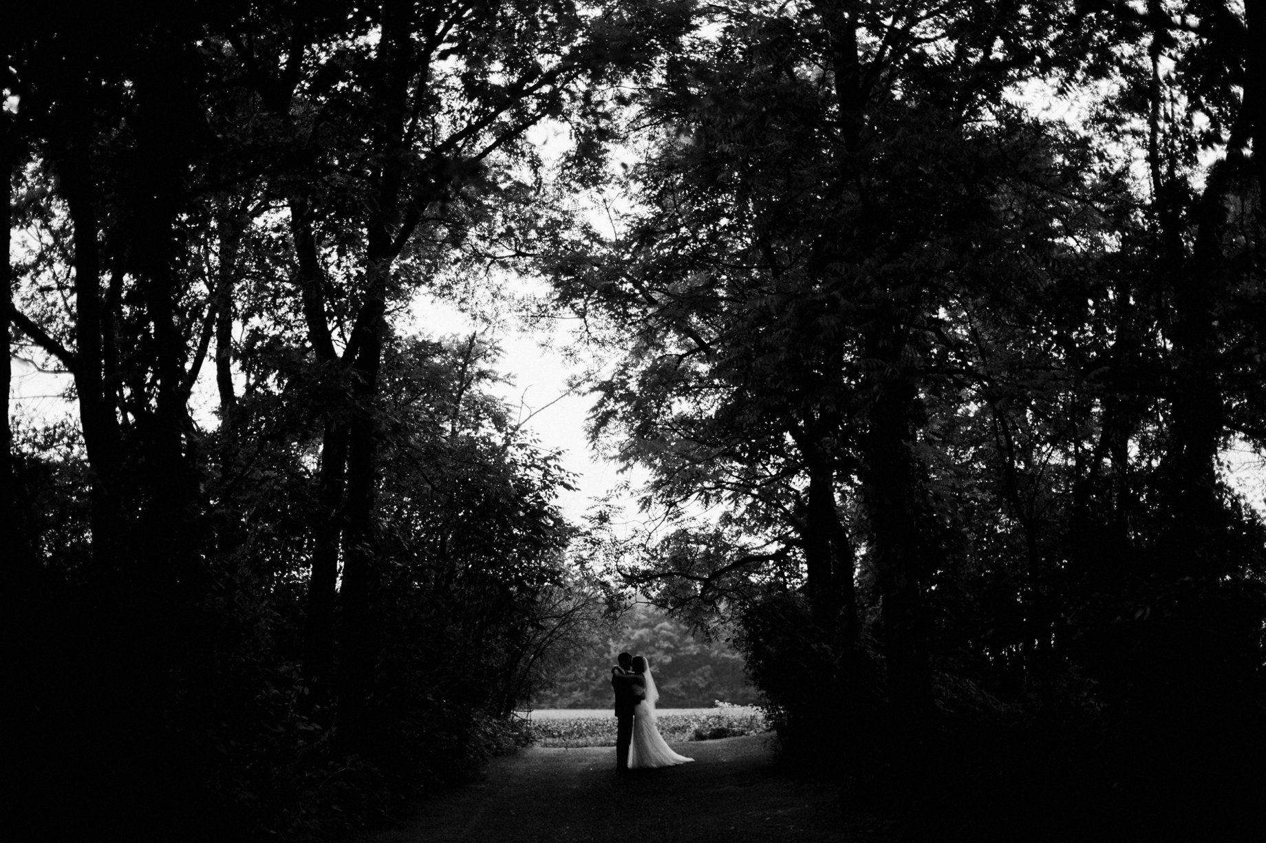 wooded wedding portrait