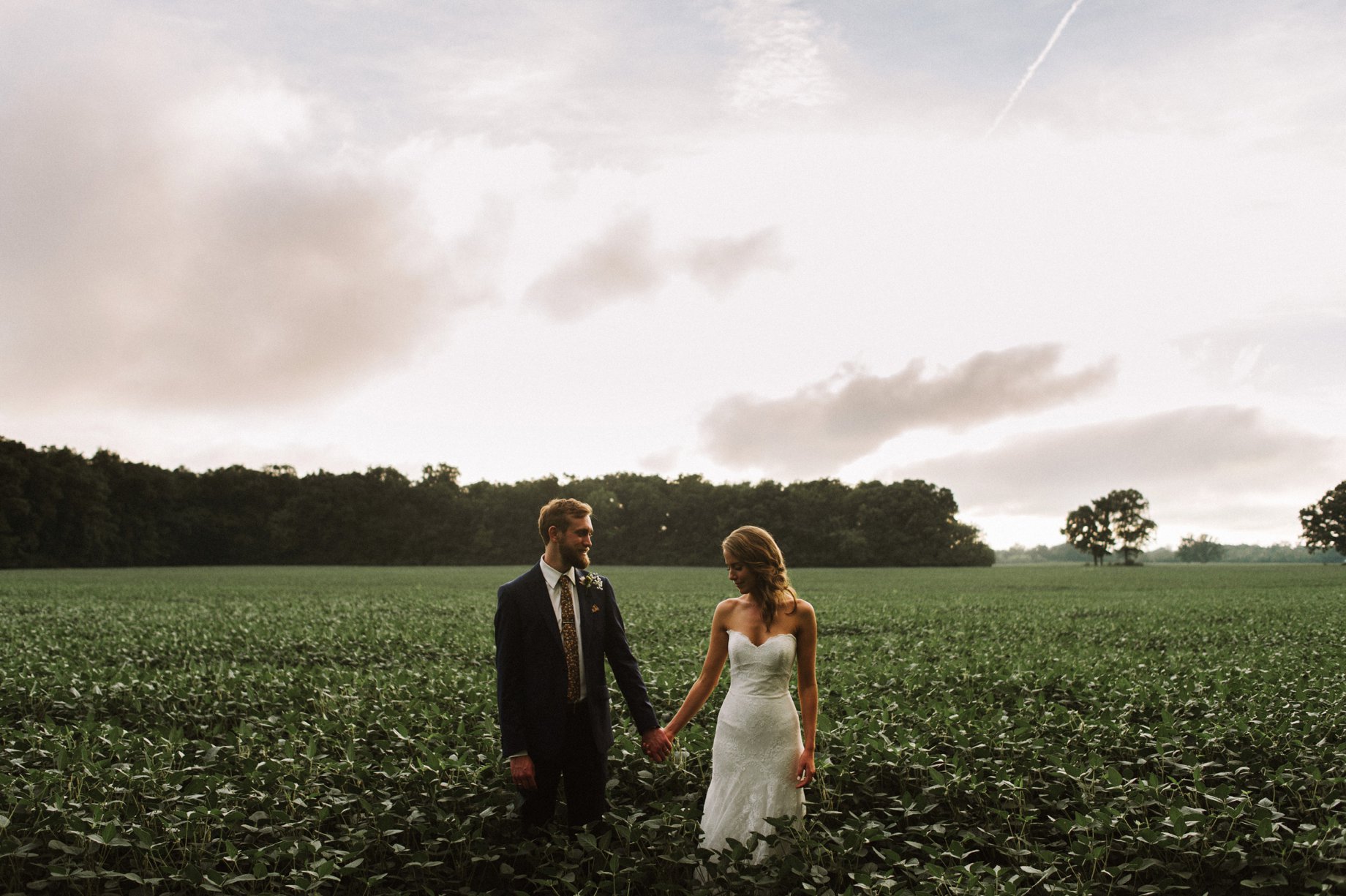 golden hour wedding portraits in Michigan