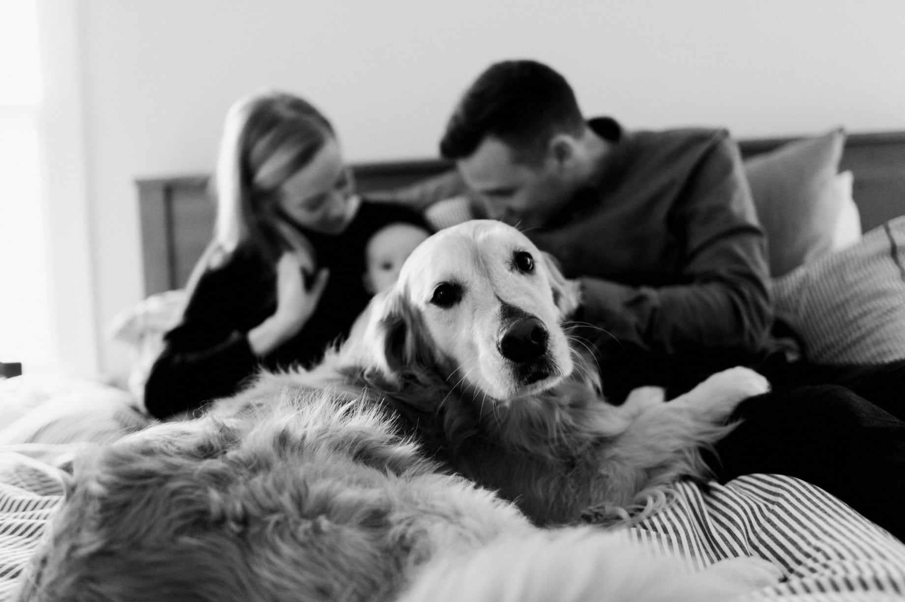 ferndale lifestyle family portrait session