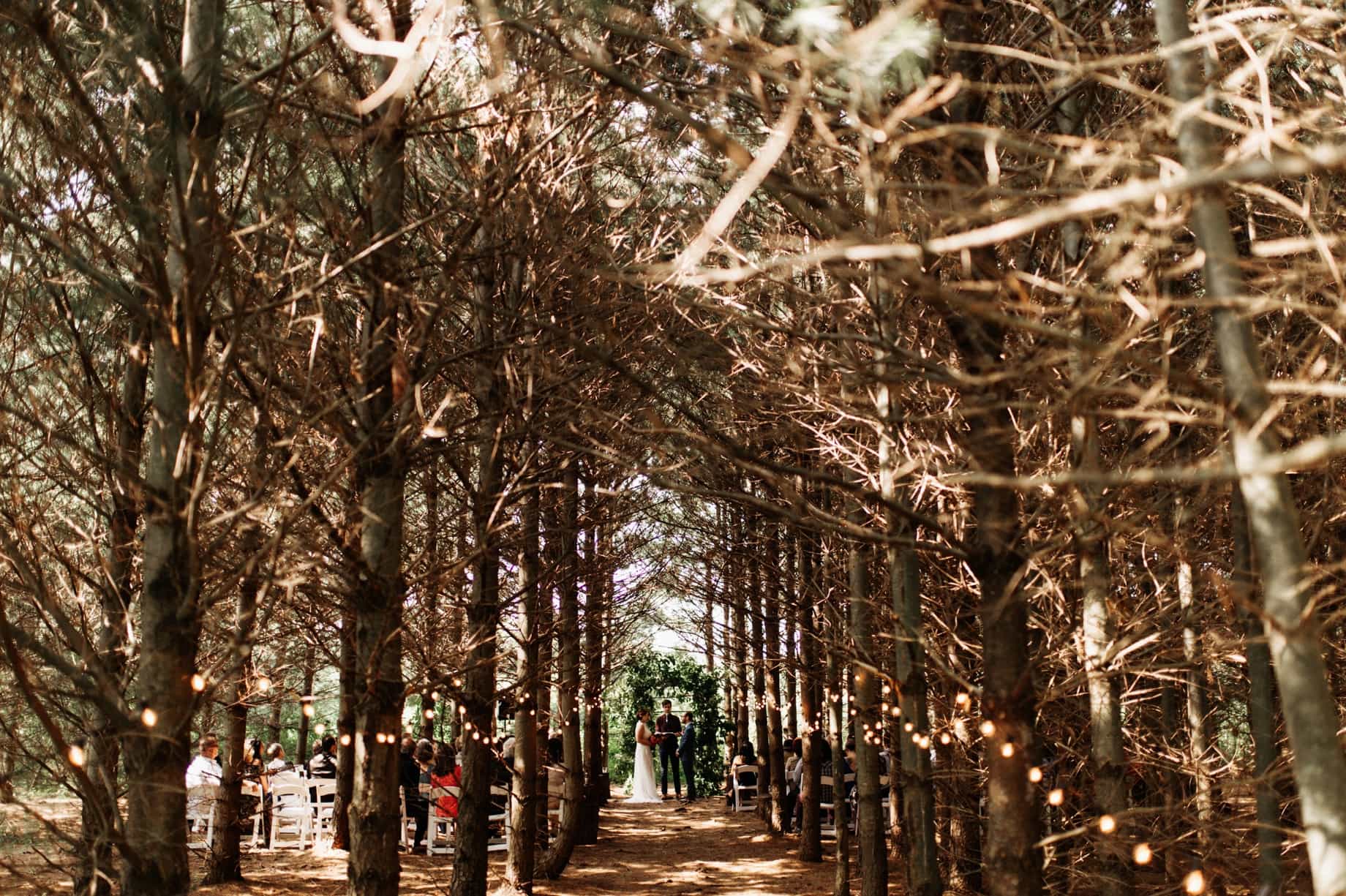 beautiful wooded wedding ceremony