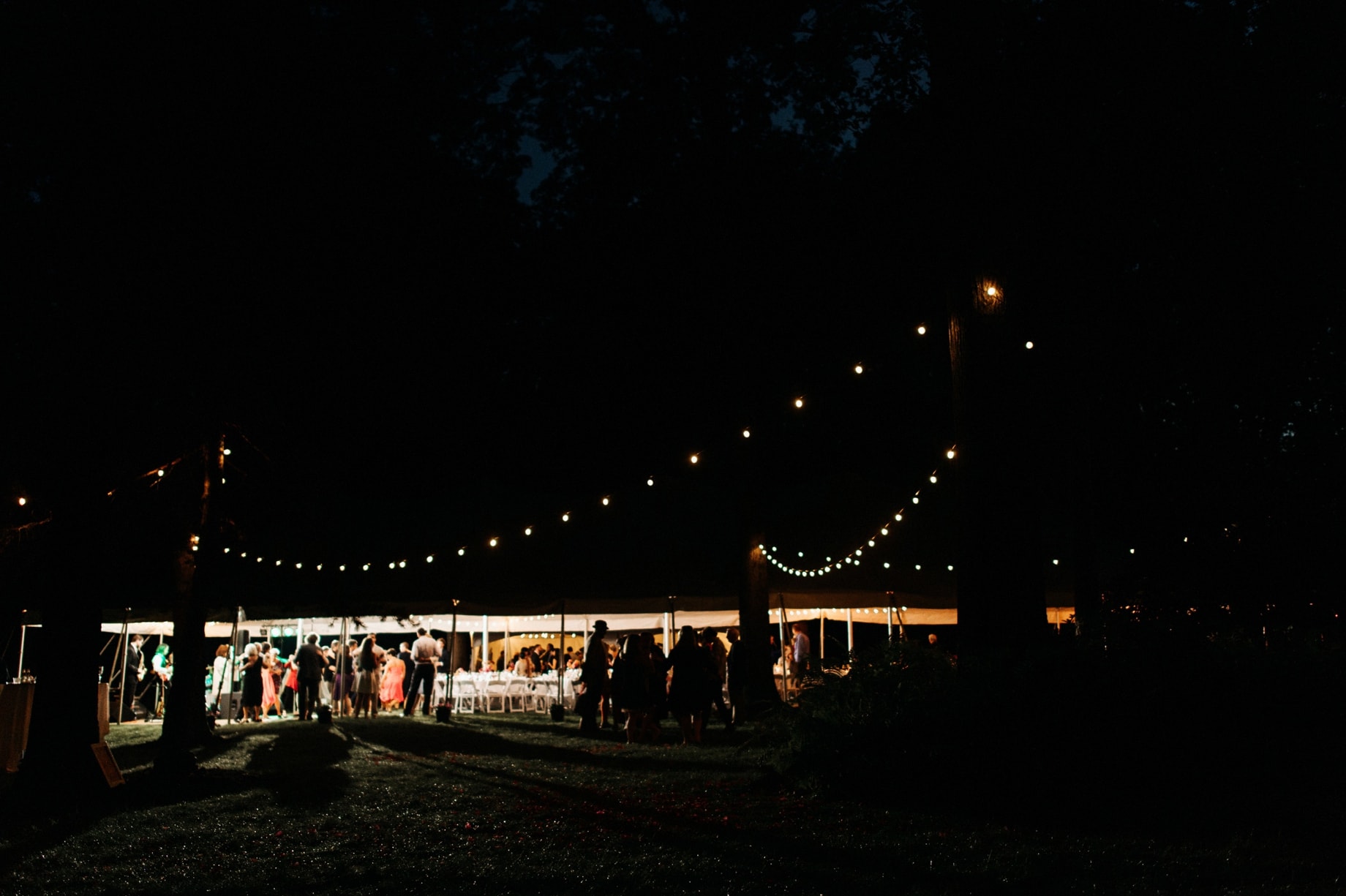 tented backyard wedding in bloomfield hills with string lights