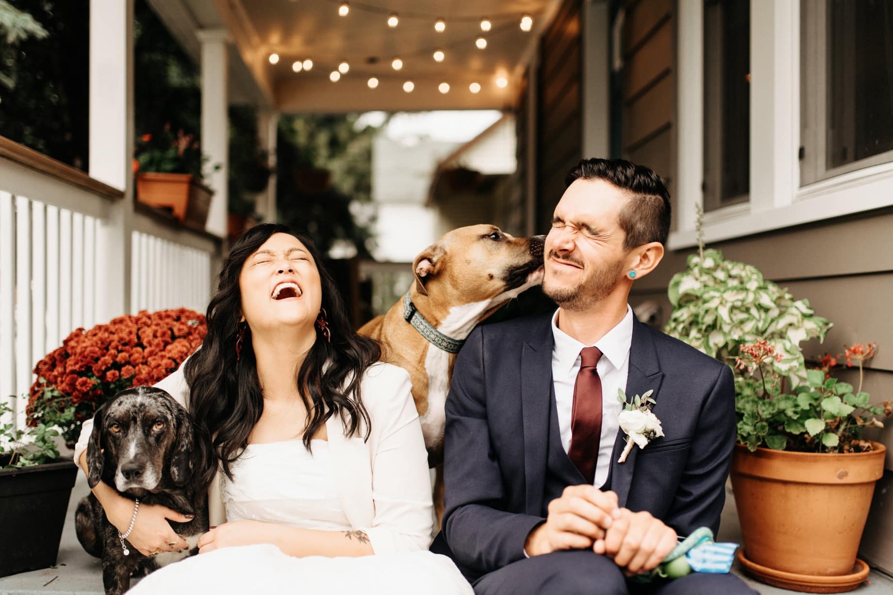 bride and groom with their dogs