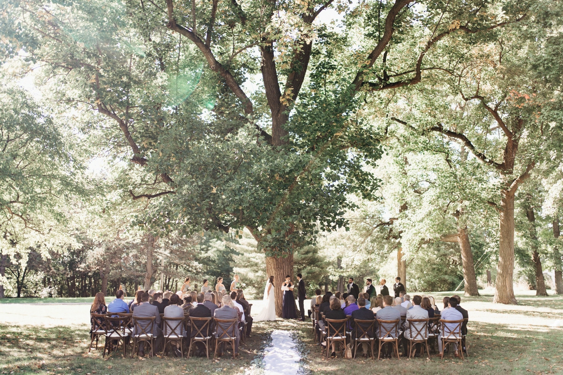outdoor wedding ceremony underneath a tree