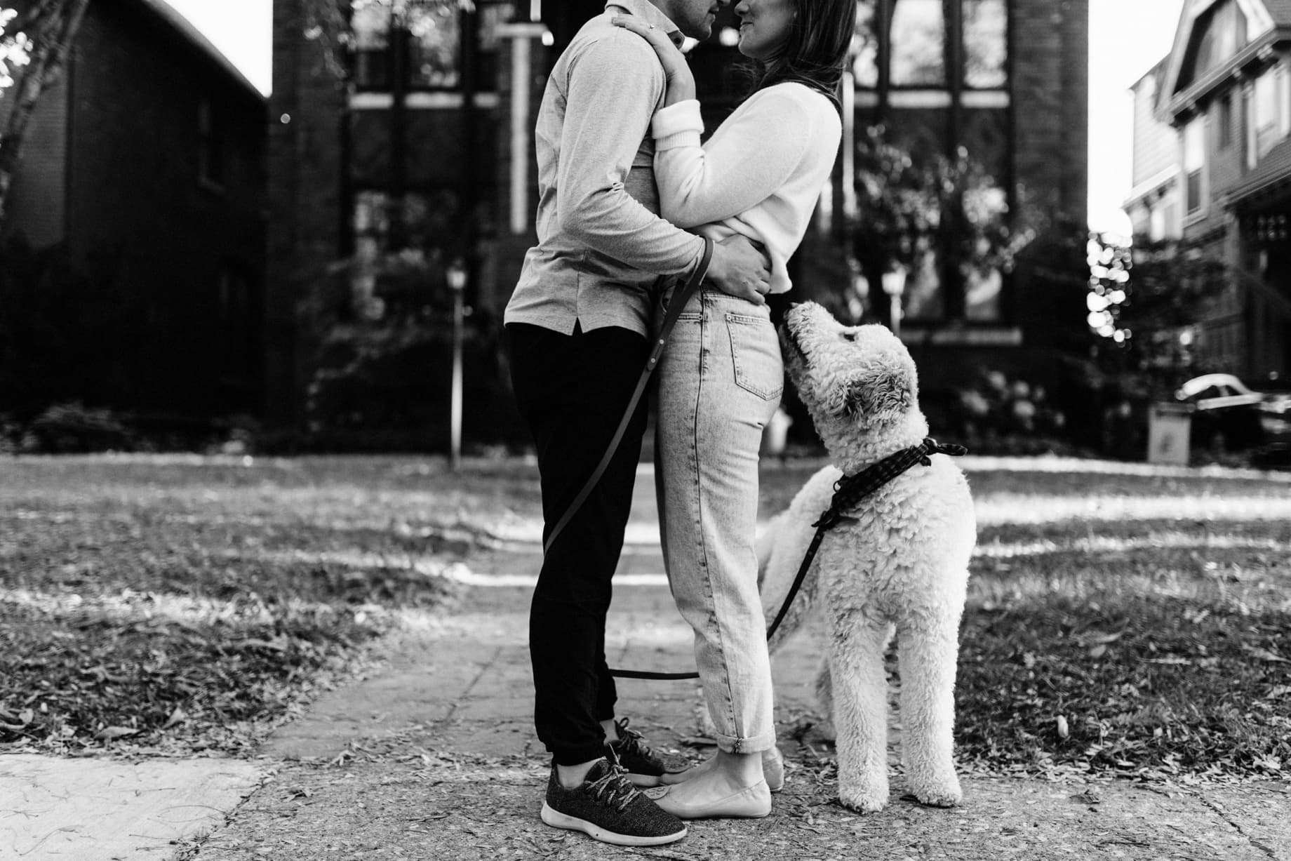 labradoodle engagement session