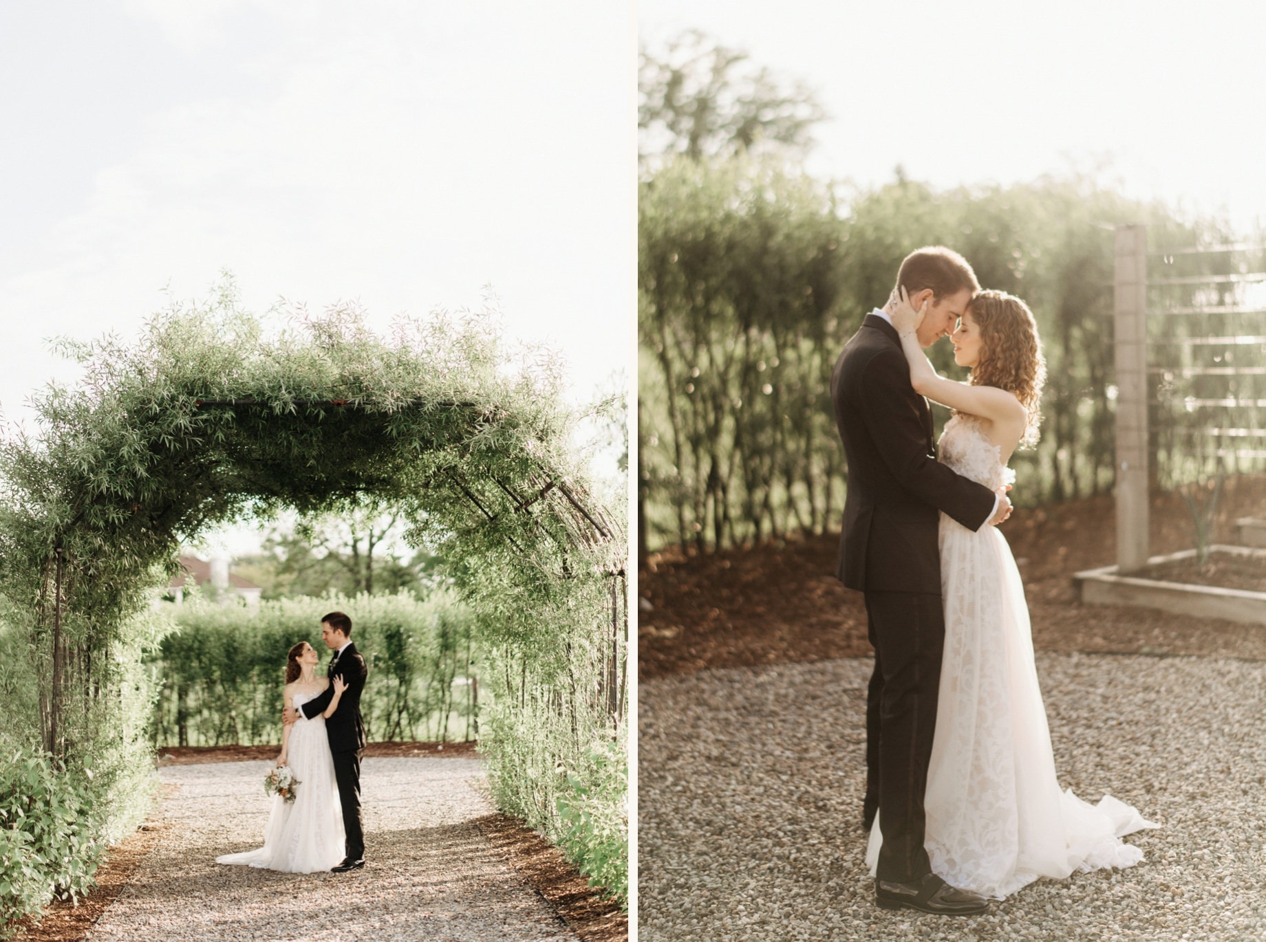 portraits in the garden of cornman farms