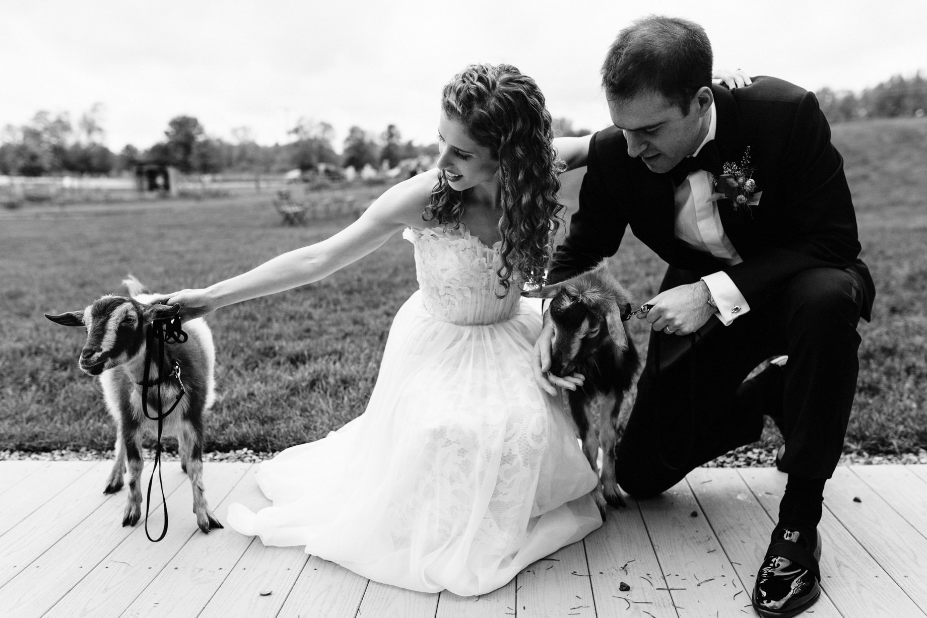 couple with goats at cornman farms