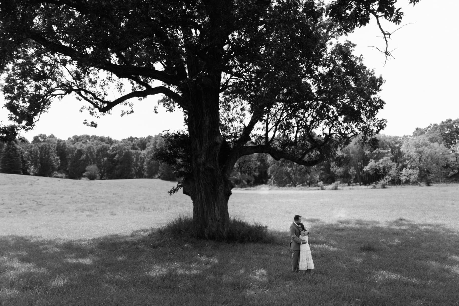 a couple embraces under a large tree during an intimate covid 19 wedding