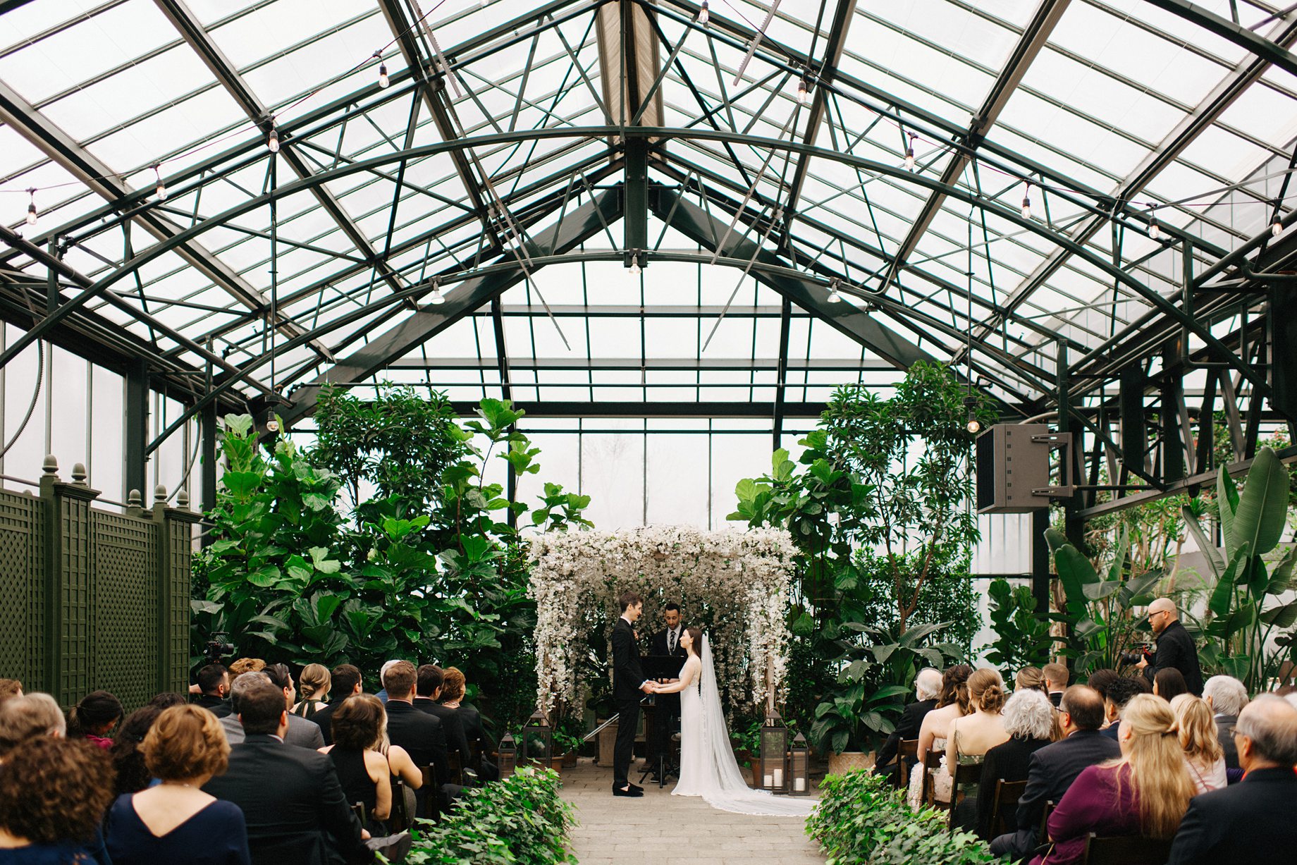 the glass ceiling over the ceremony space at Planterra 1