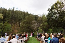 outdoor ceremony among pine trees