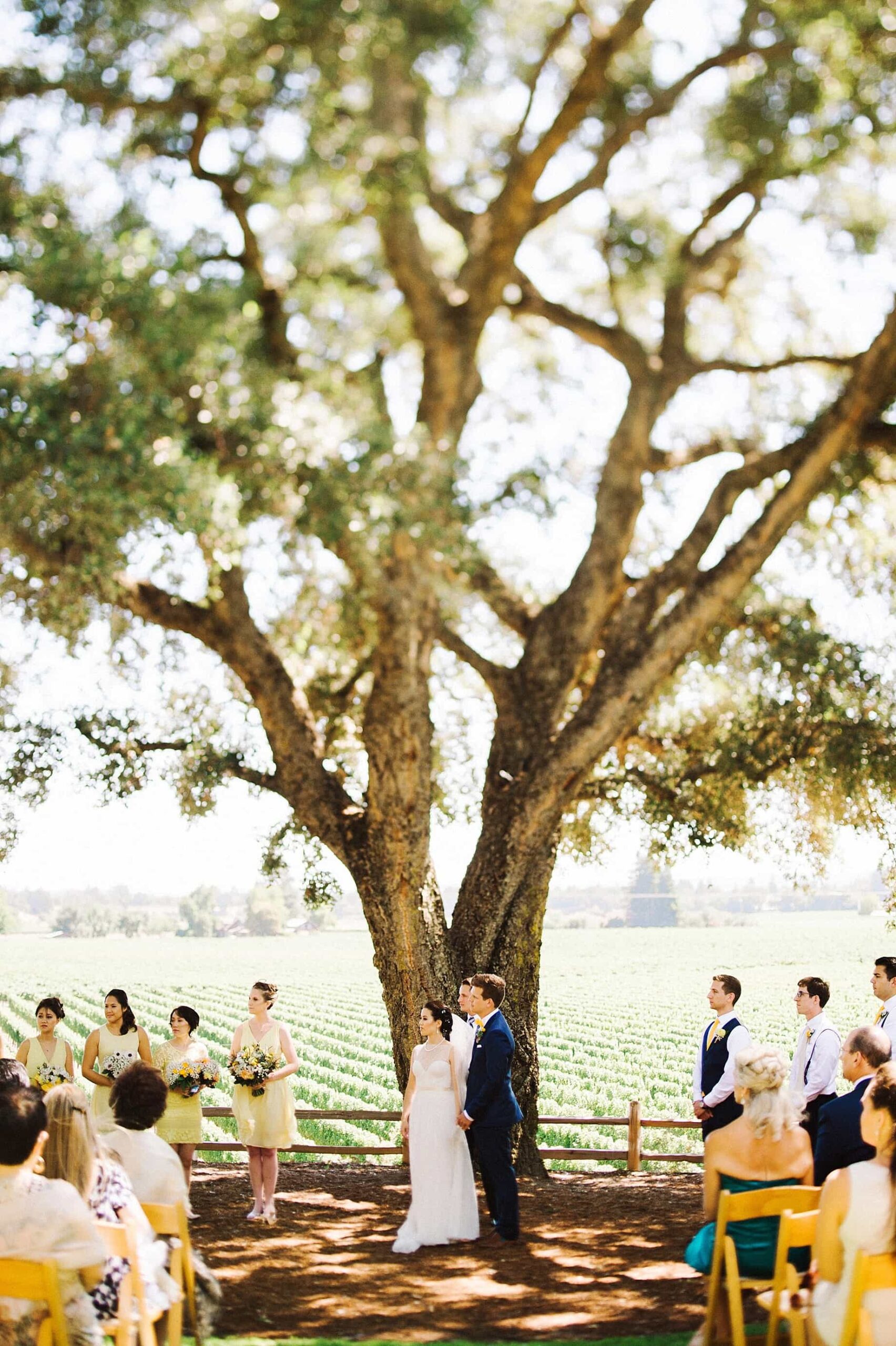 Healdsburg Country Gardens wedding ceremony