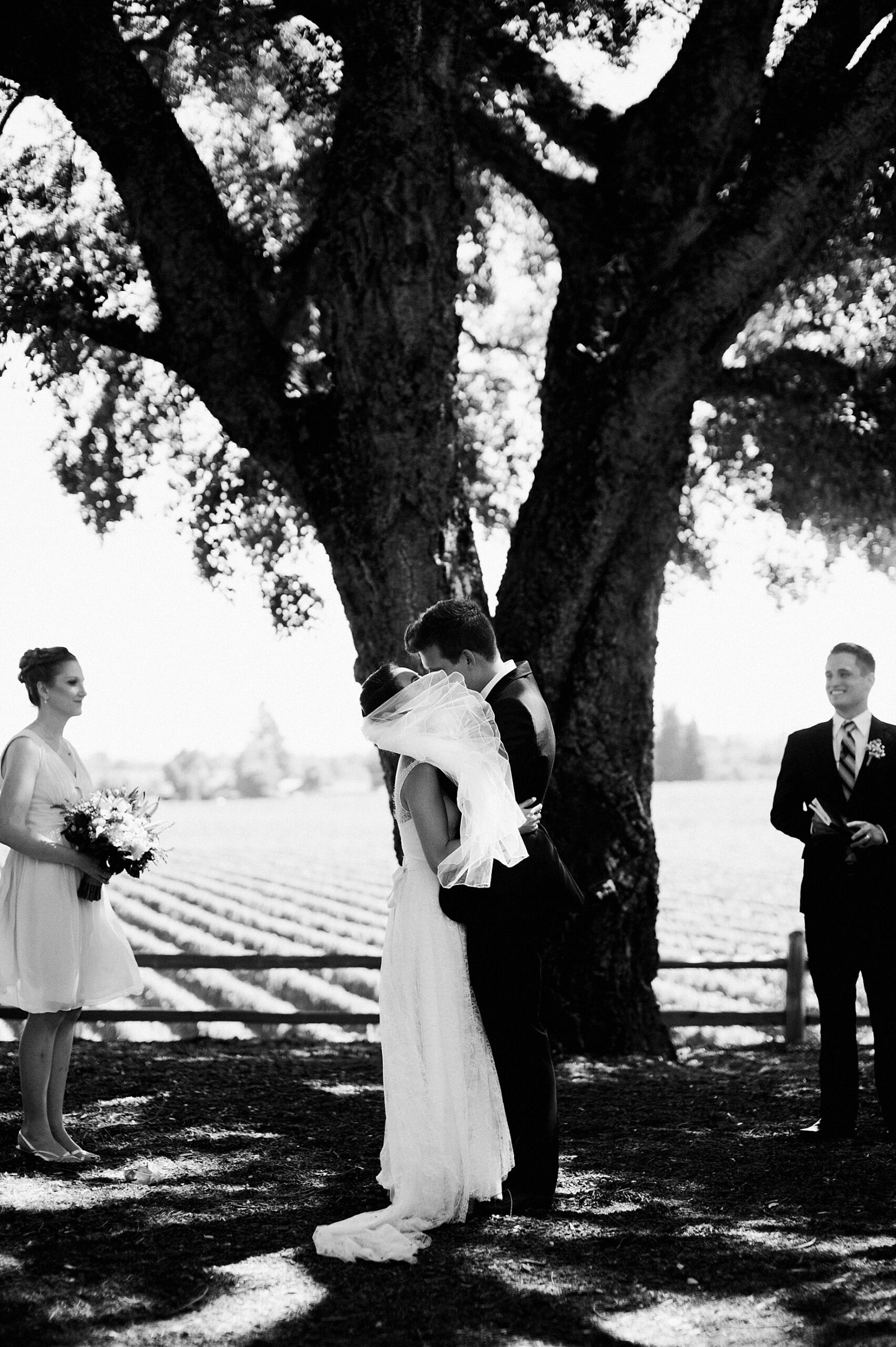 vineyard wedding