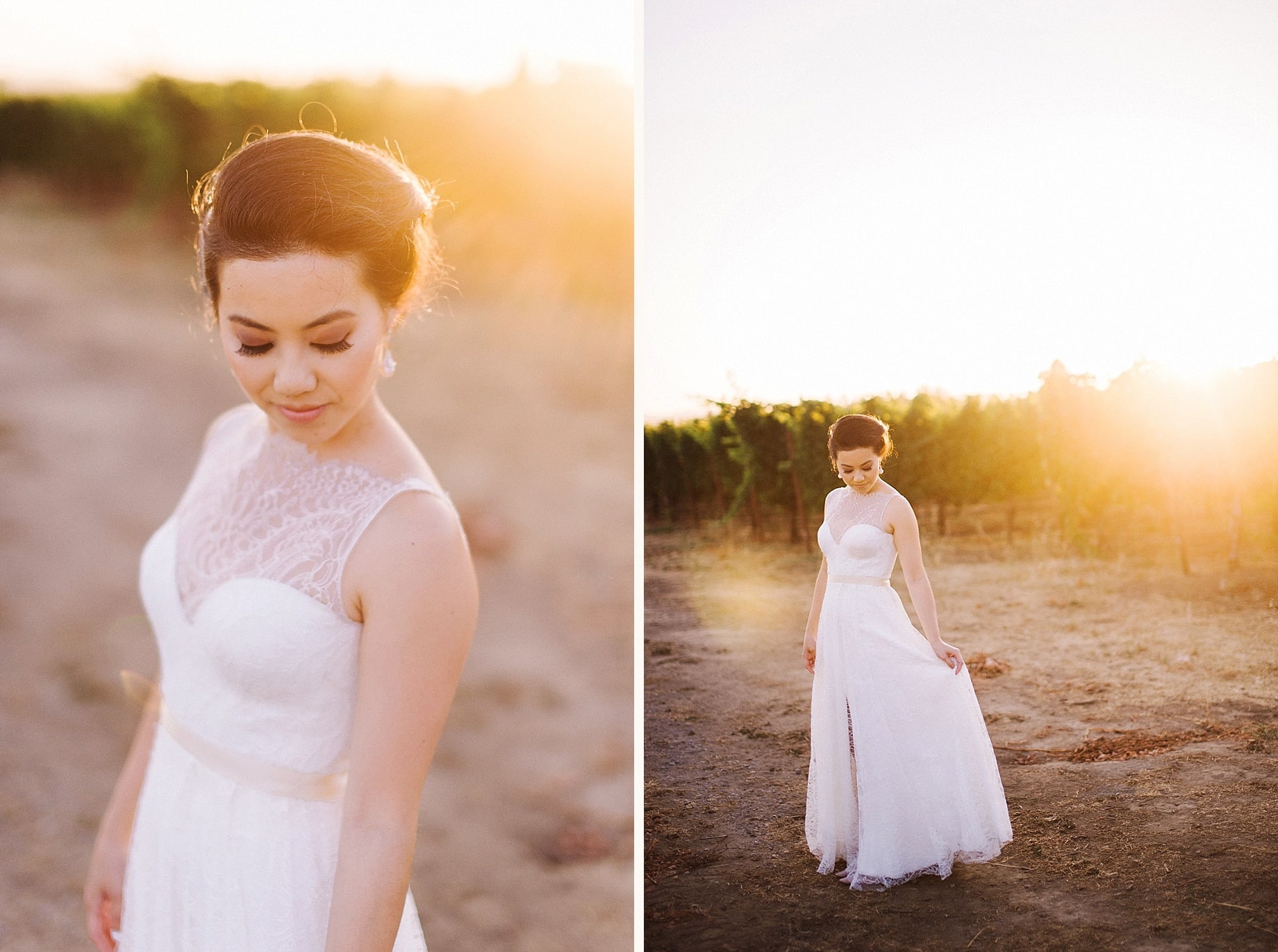 Tiffany and Drew's wedding at the Healdsburg Country Gardens - Detroit ...