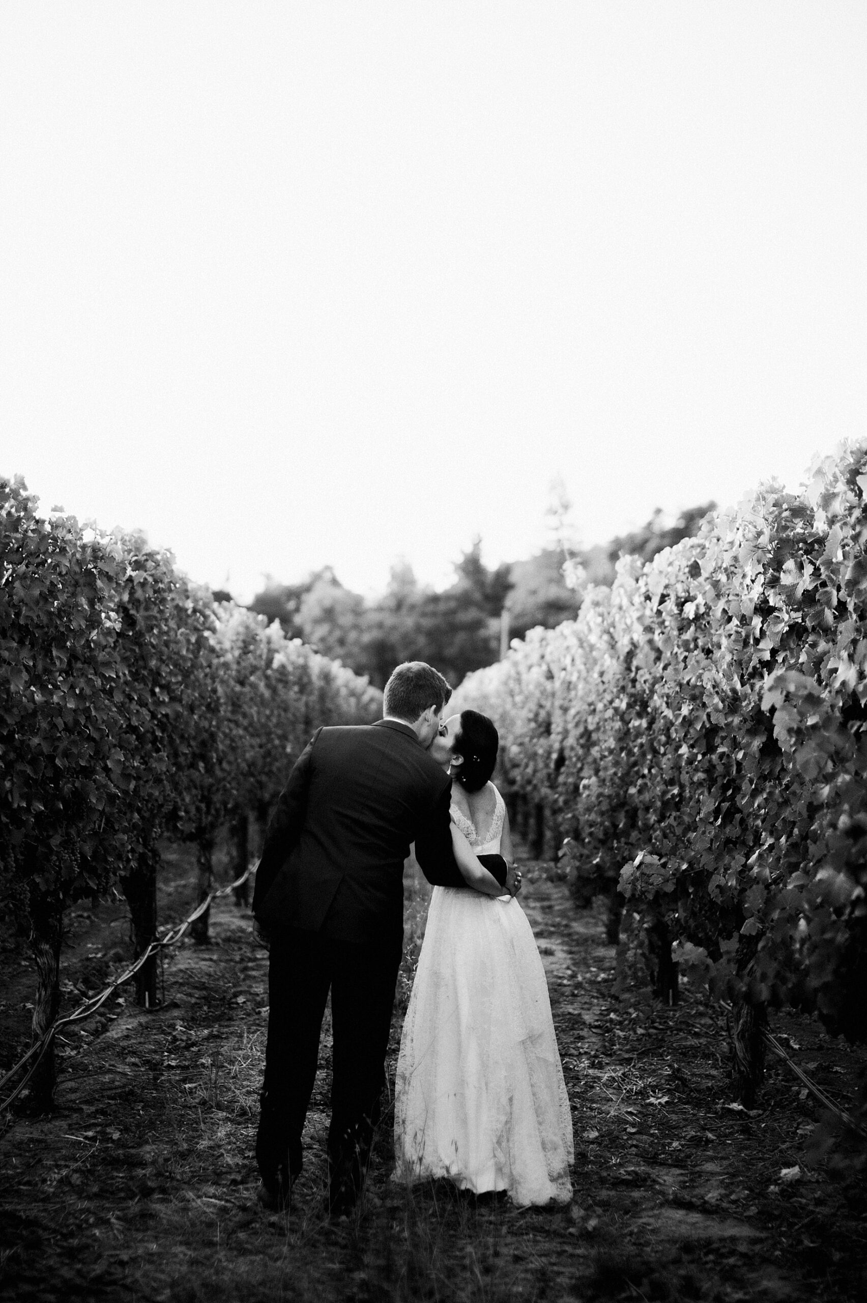 vineyard wedding