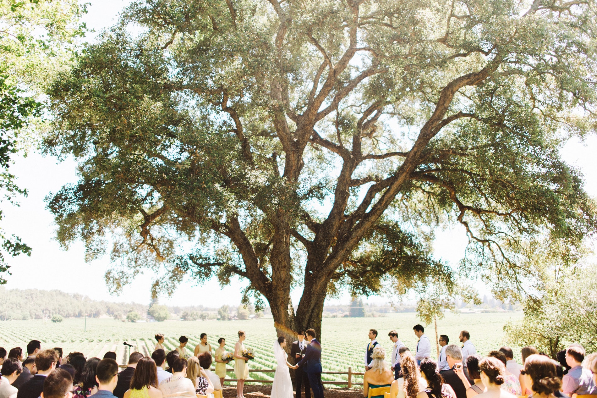 Tiffany and Drew’s wedding at the Healdsburg Country Gardens
