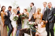 wedding photographer with dogs