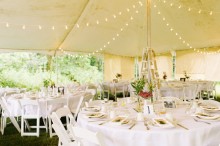 backyard tented wedding in port huron michigan