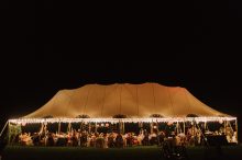 tented backyard wedding reception in ann arbor michigan