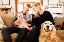 in home family photography with golden retreiver