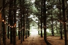 pine forest wedding ceremony
