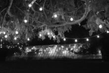 night shot of the greenhouse at Glass House Community