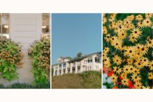 Bay View Country Club Details